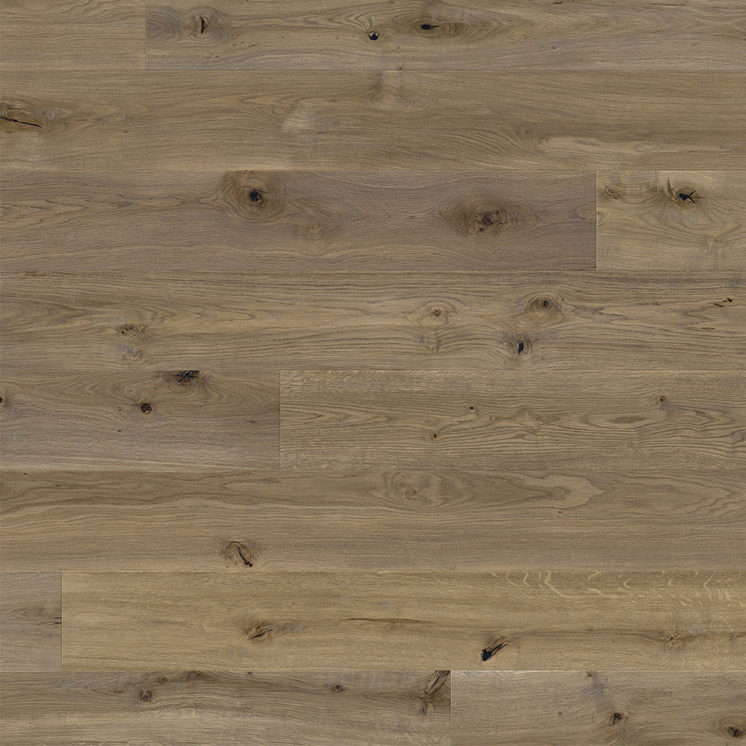 REGAL OAK WIDE