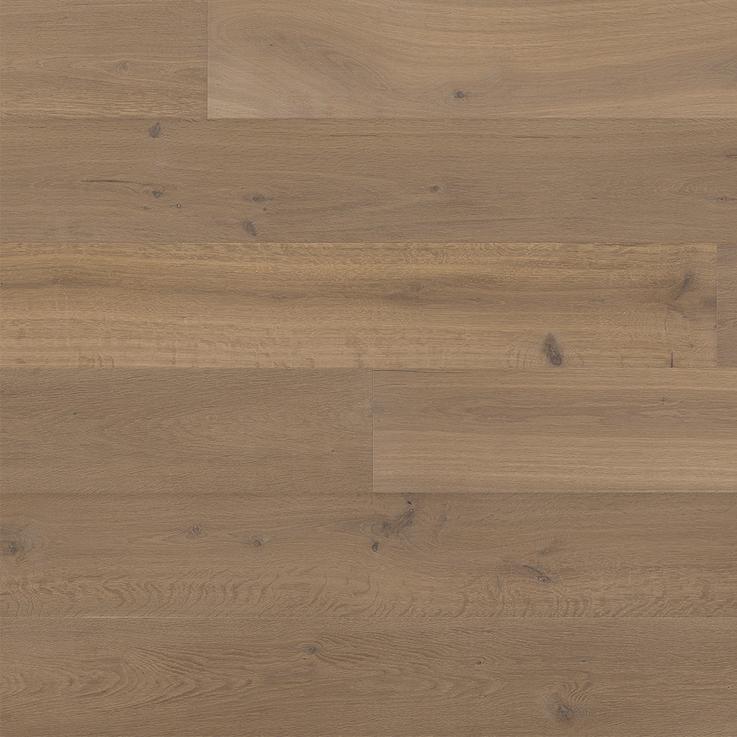 REGAL OAK WIDE